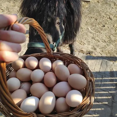 Brkin Salas Εξοχικό σπίτι
